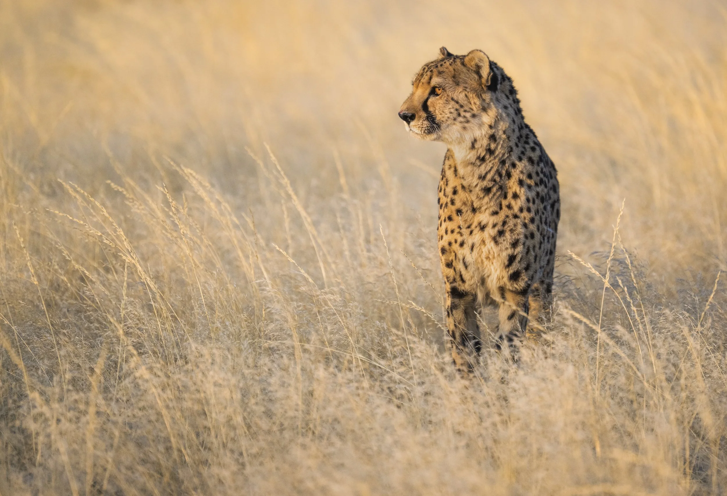 What Another Namibia Workshop Reminded Me About Why Experience Matters