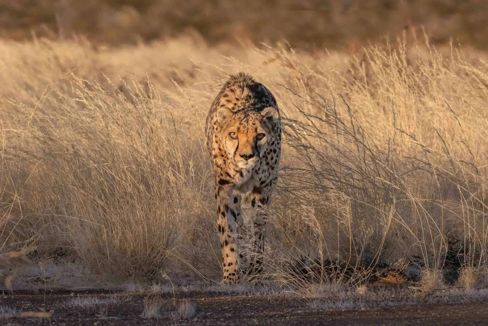 Namibia photography workshops