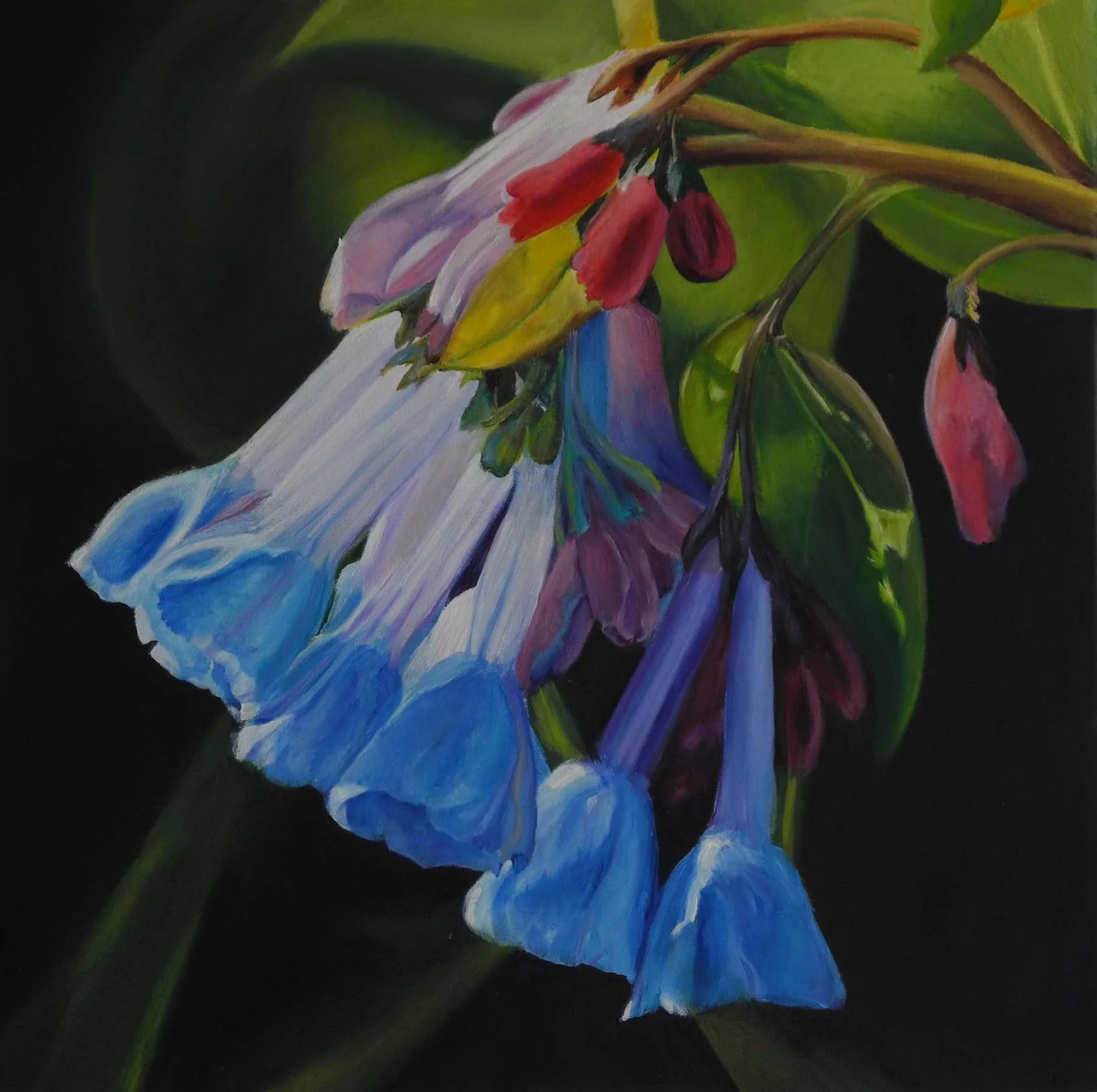 Bluebells 1.jpg
