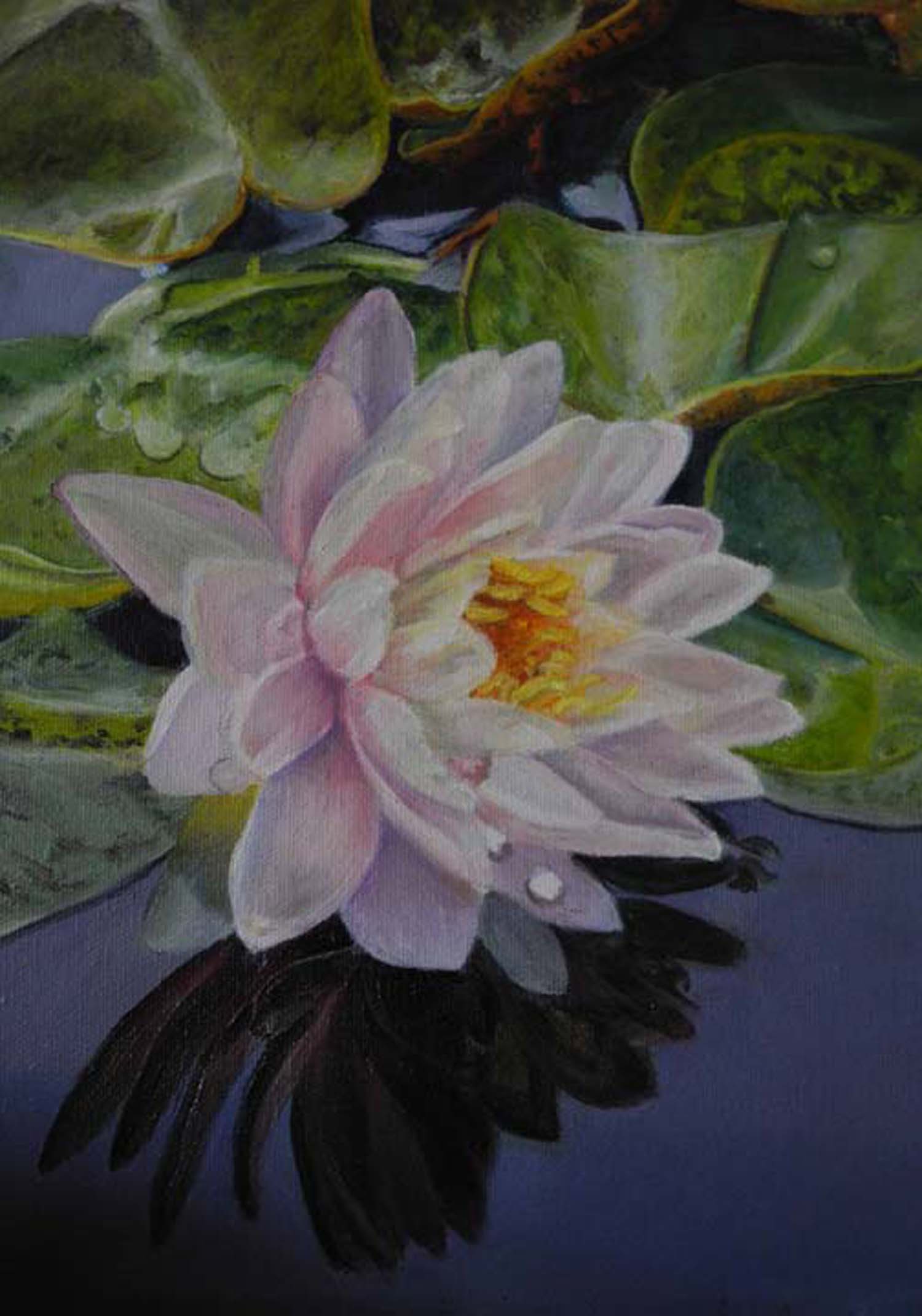Lotus.jpeg