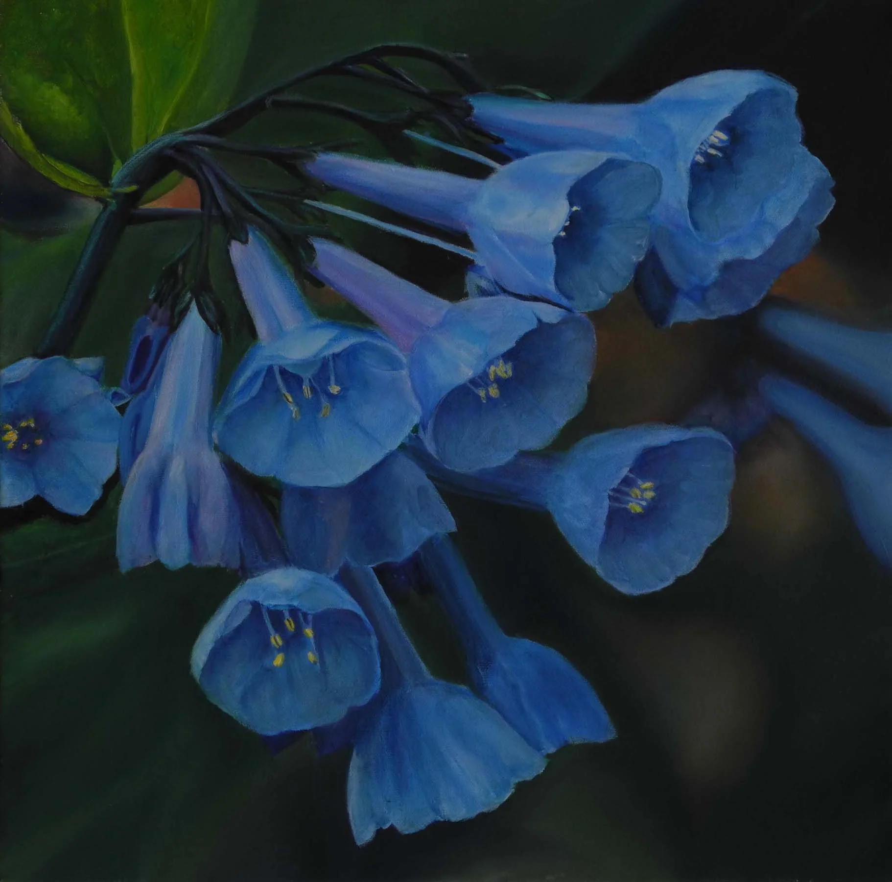Bluebells 2.jpg