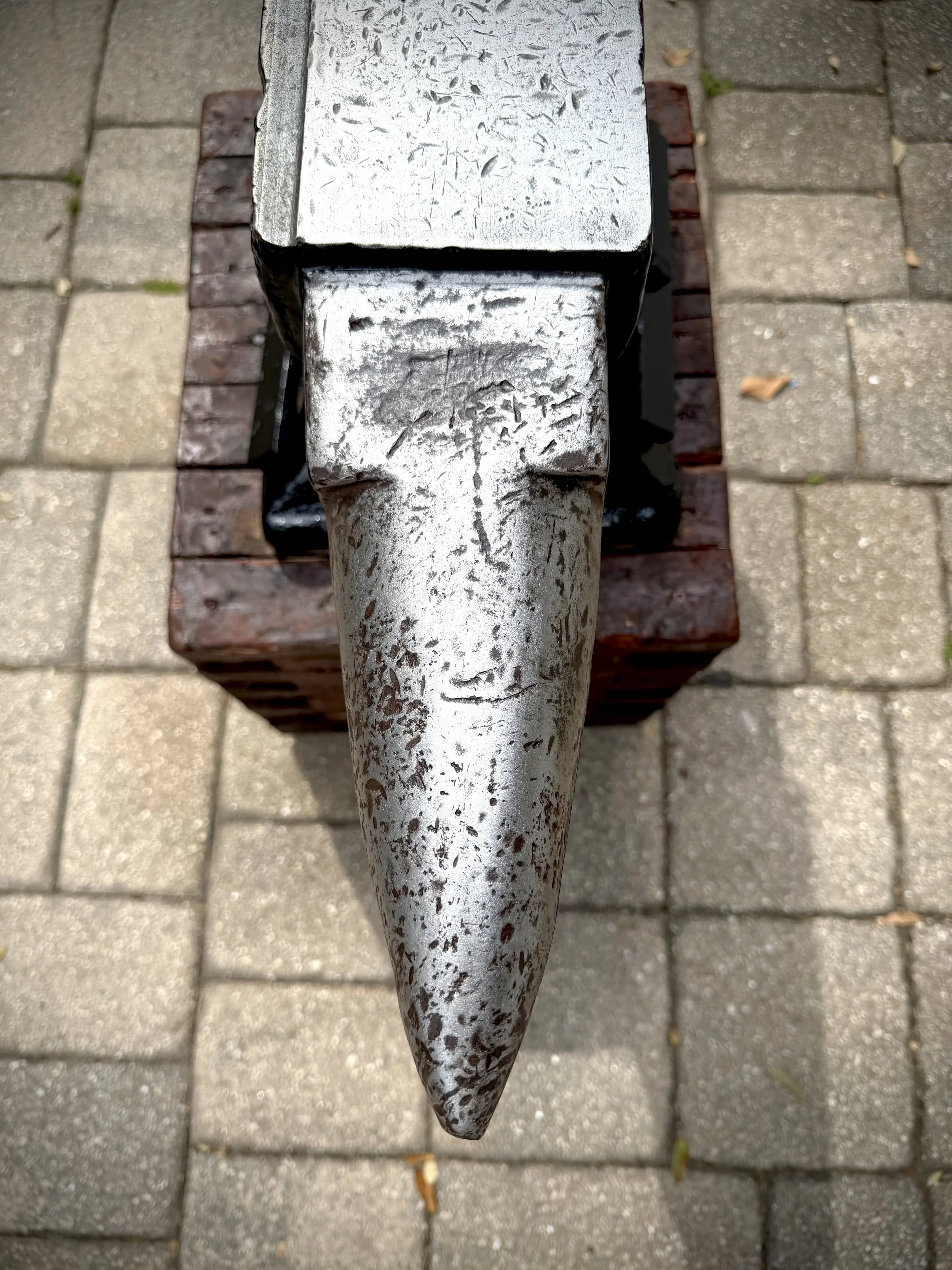 image00009.jpeg