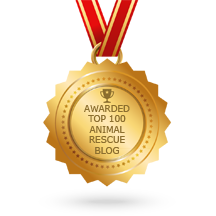 animal_rescue_216px.png