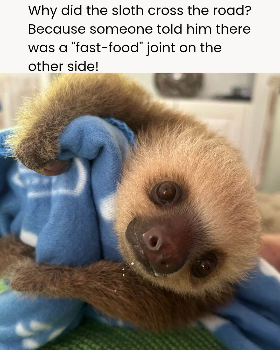 1000017057.png