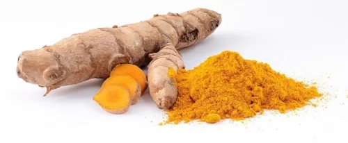 Curcuma_longa_roots.jpg