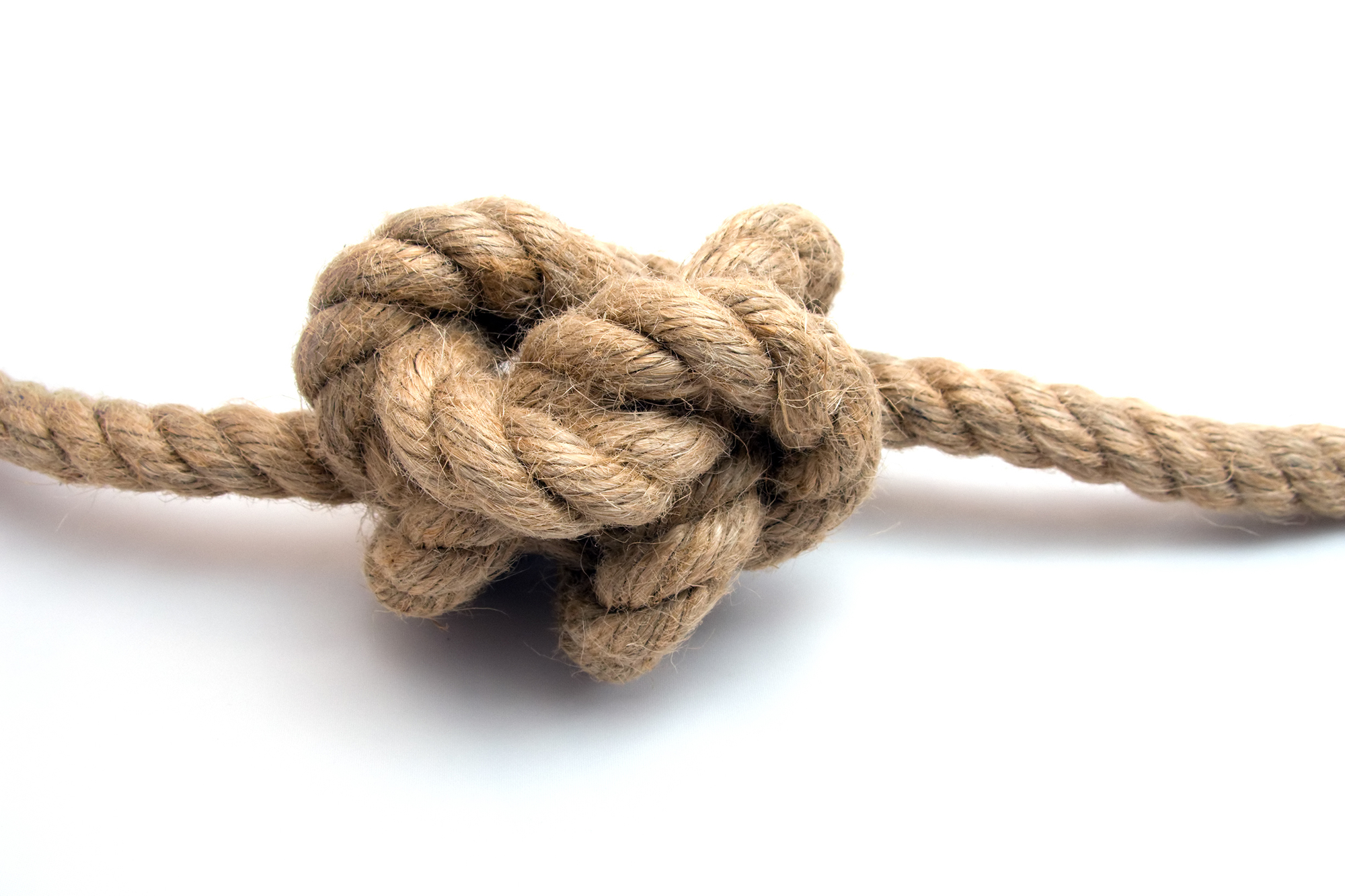 Knots.jpg