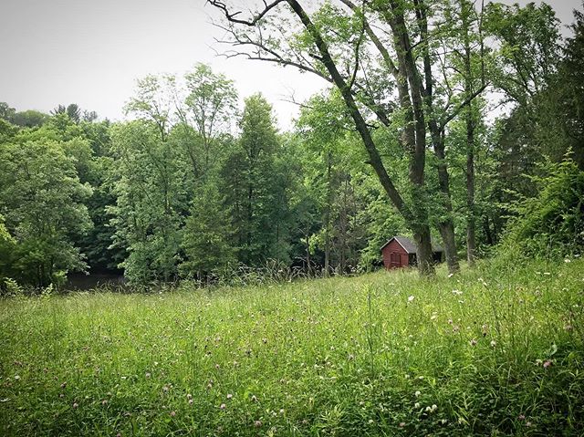 After welcome drinks on the lawn and a farm tour, but before dinner, we&rsquo;re going to step into this field and face the Ten Mile River and take a moment to recognize the solstice. ☀️ 🌚 🌸