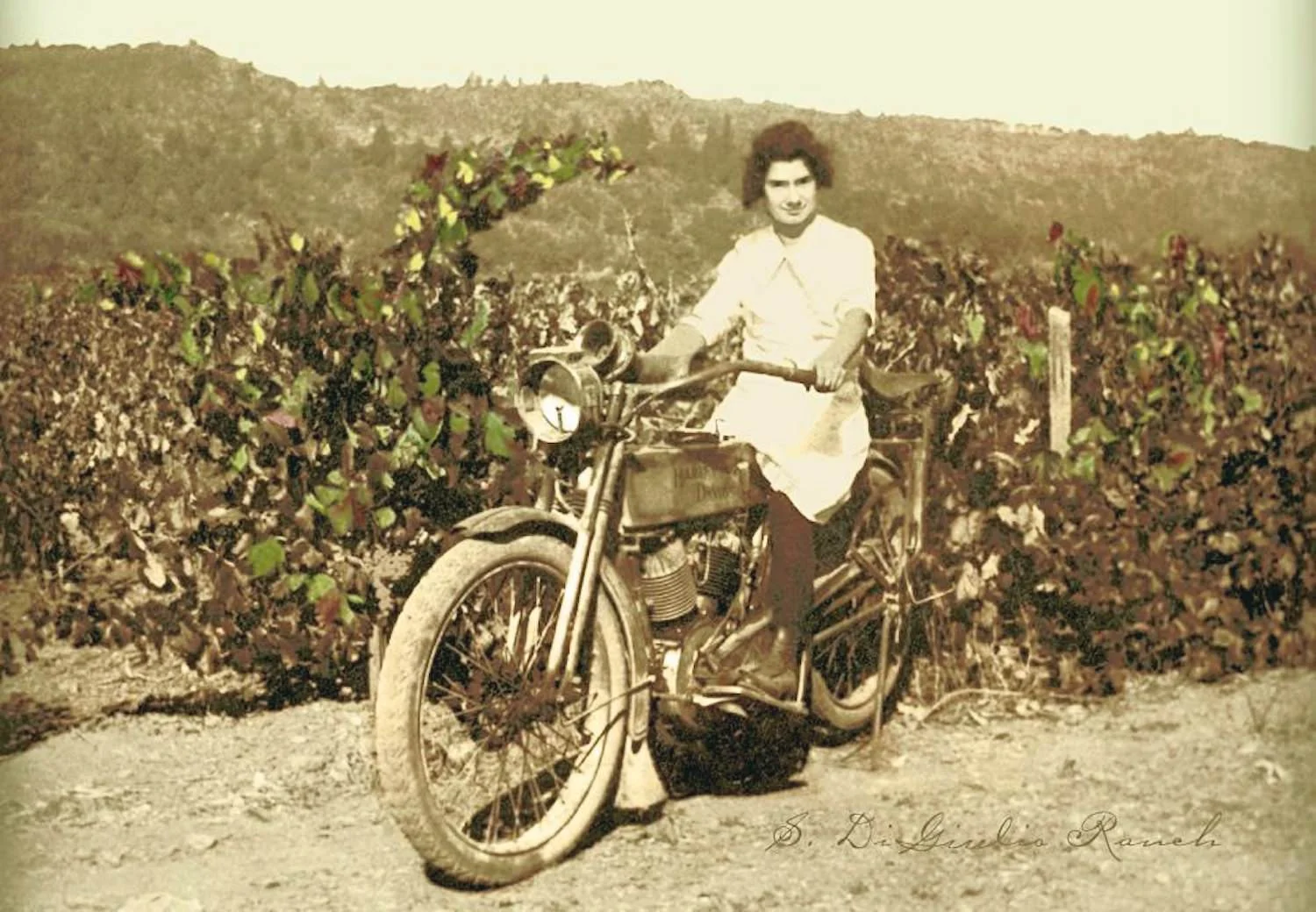 Circa 1920 - our grandmother, Irene, on a 1915 Harley Davidson. Image © 2014 Pauline DiGiulio Tofanelli