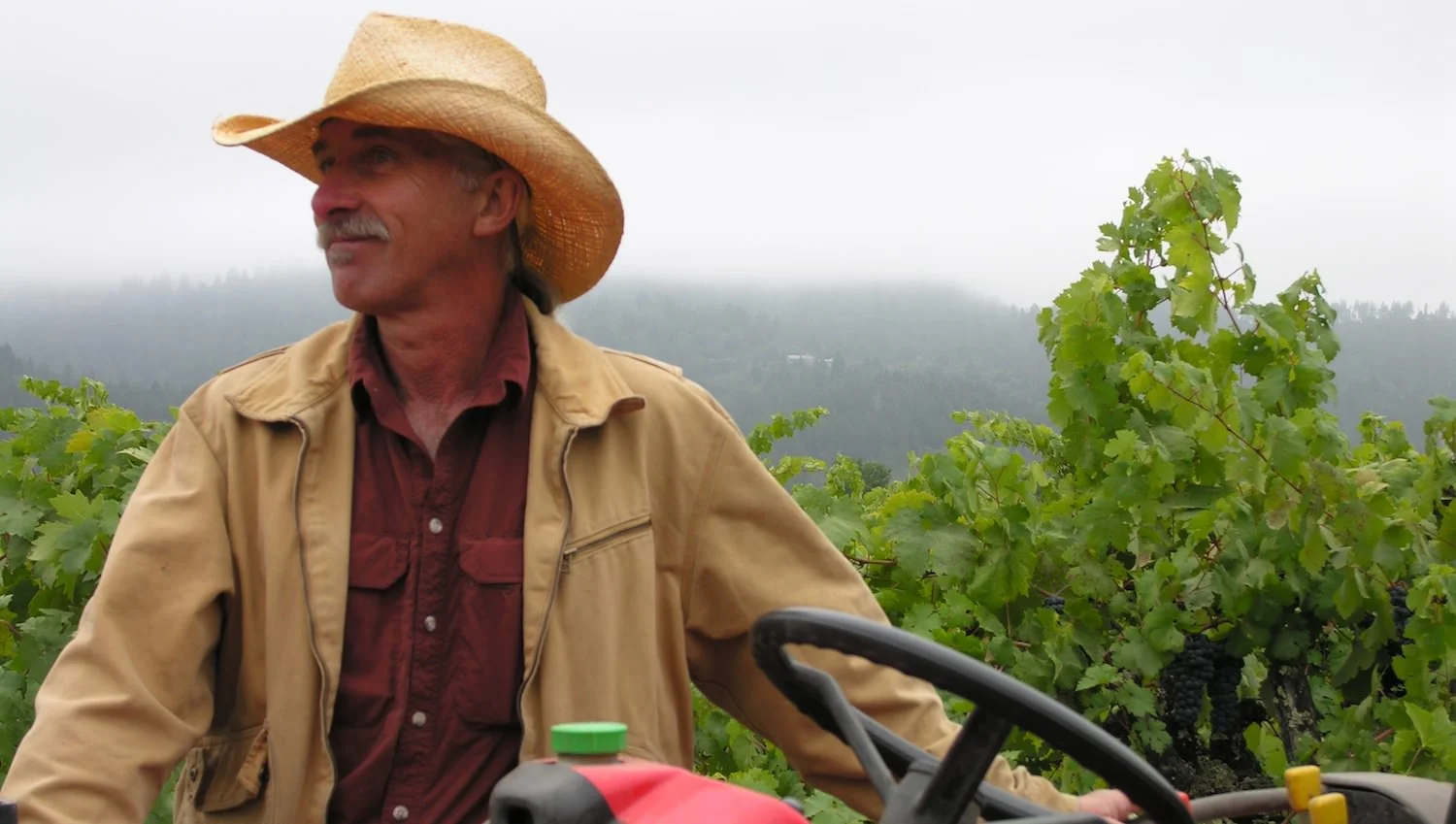 tractor driver.jpg
