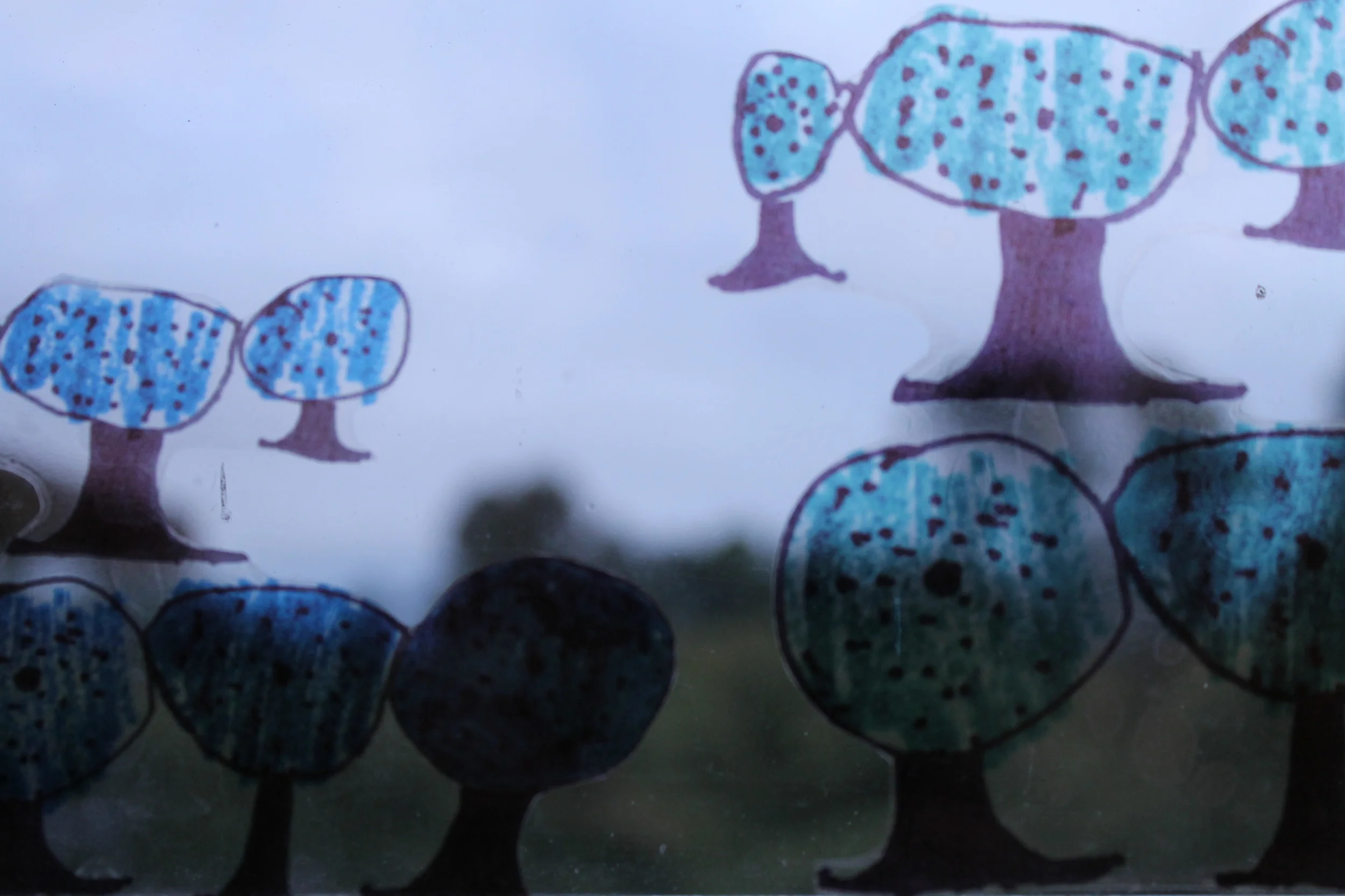 Aurelia's representation of Physarum globuliferum