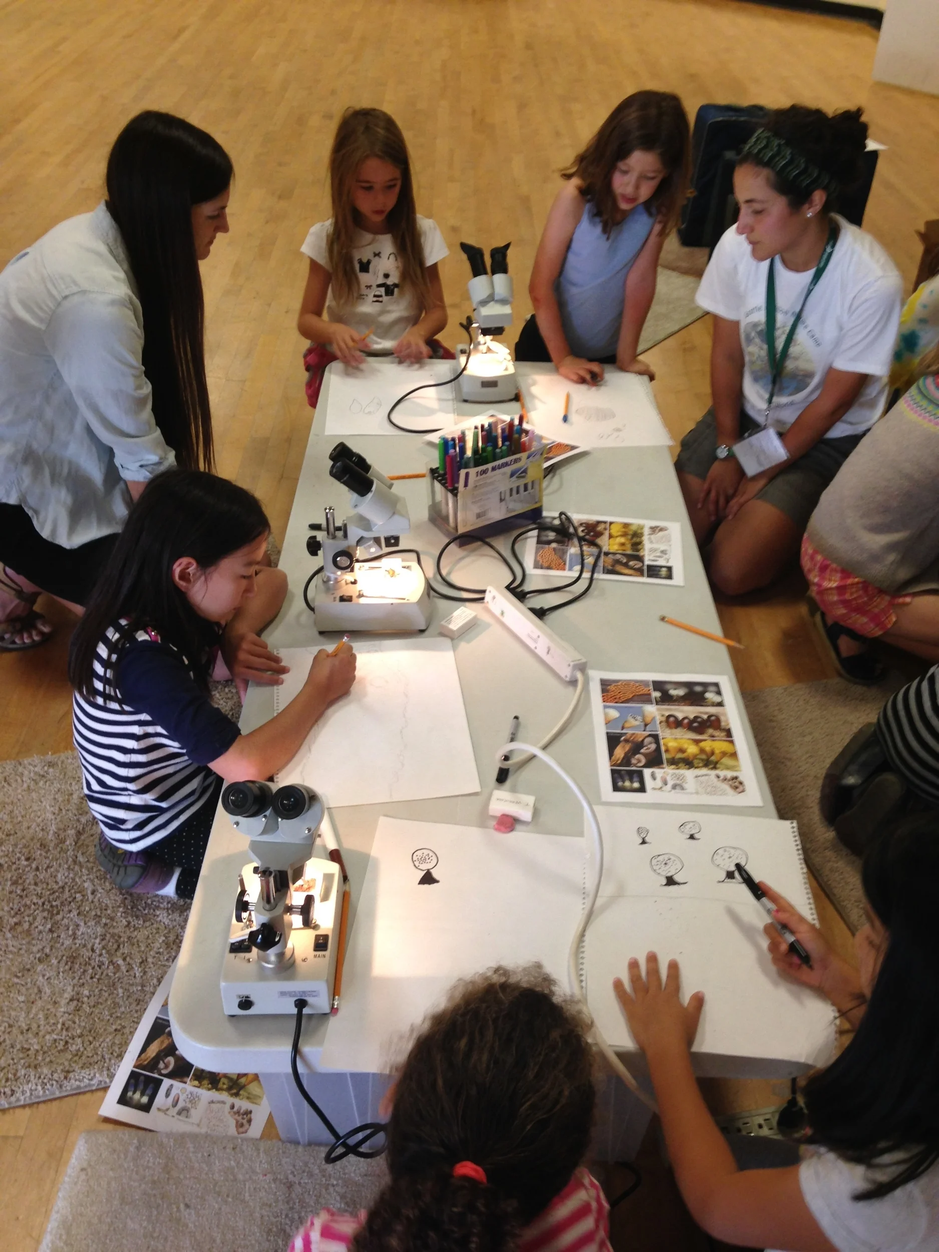 In order to appropriately deck out the kid's corner of the Library, my science illustrator friend Laura Frick and I led a workshop for kids at the Audubon Society summer camp. I turned the kids' illustrations into "stained glass."