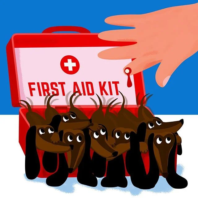 &ldquo;How to Convince Your Office Y&rsquo;all Need Dogs!&rdquo;
Link in the bio. Illustration by @siebelsdesignandhound

#vector #inspiration #art #illustration #artdirection #designspiration #womanartist #artoftheday #vectorillustration #illustrato