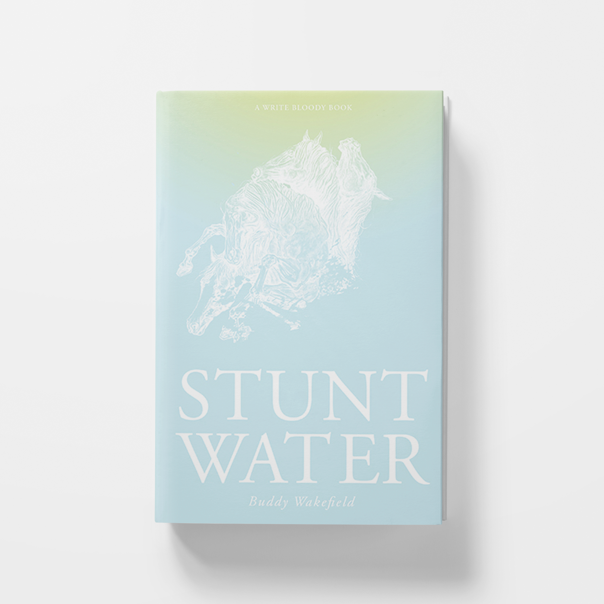 Stunt Water_v2.png