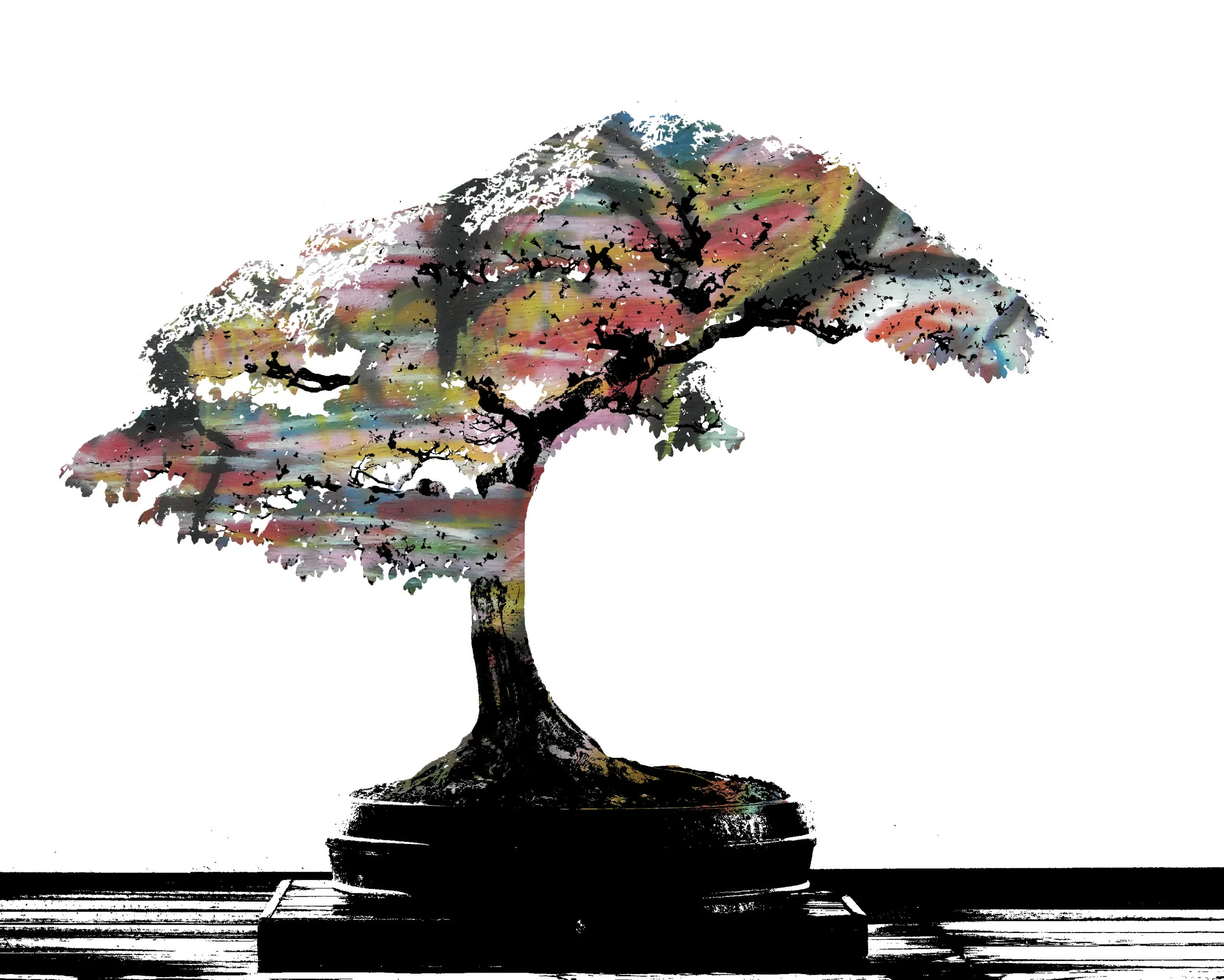 Trident_Maplasdfe_bonsai_52,_October_10,_2008.jpg