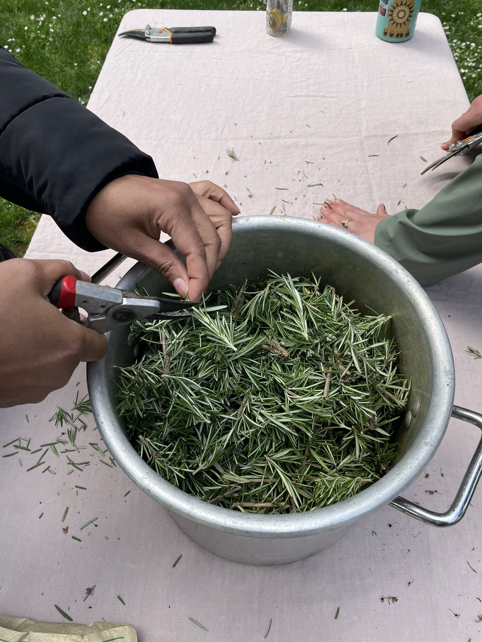 dyes_leach_2 2025.jpeg