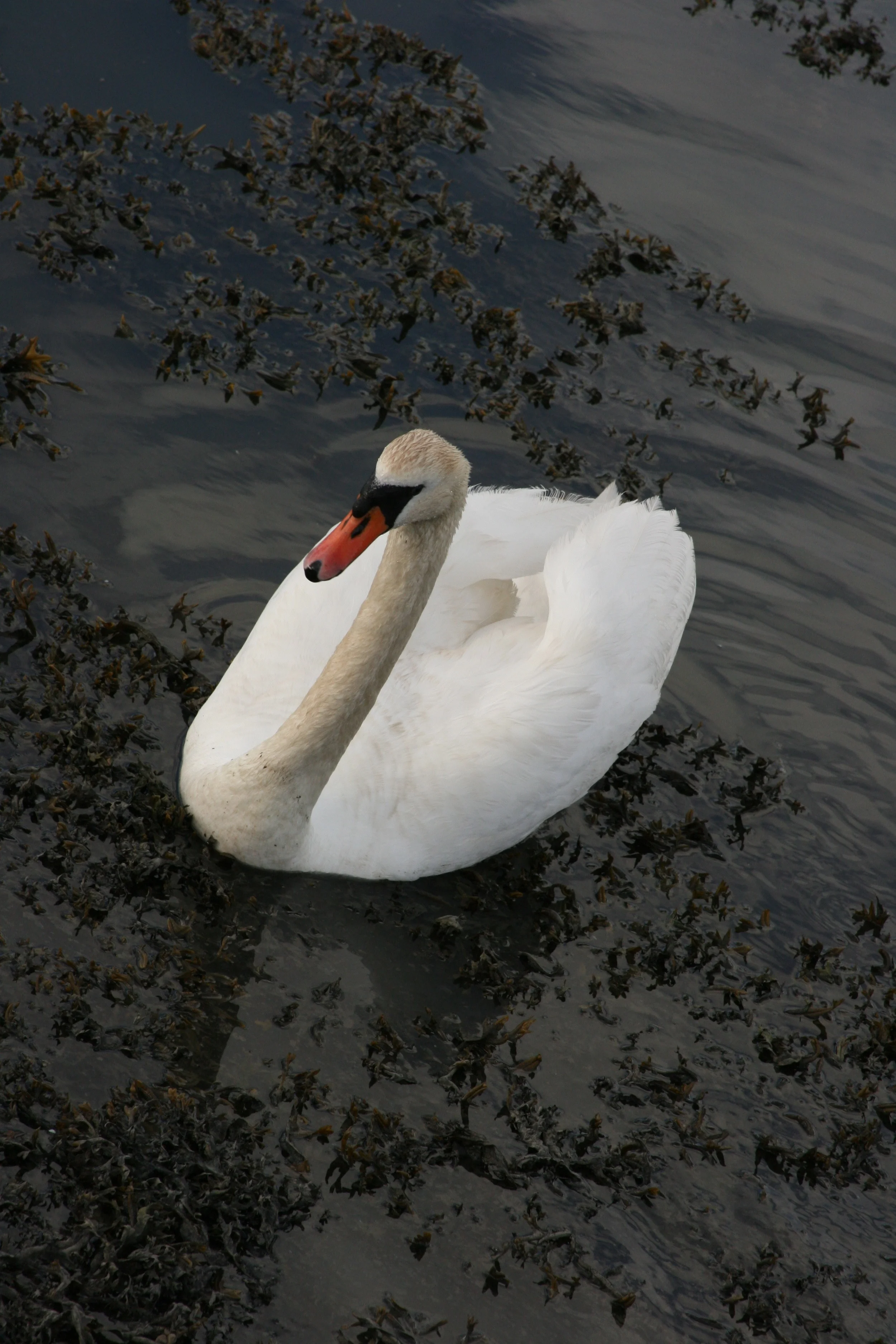 IMG_8075.jpg