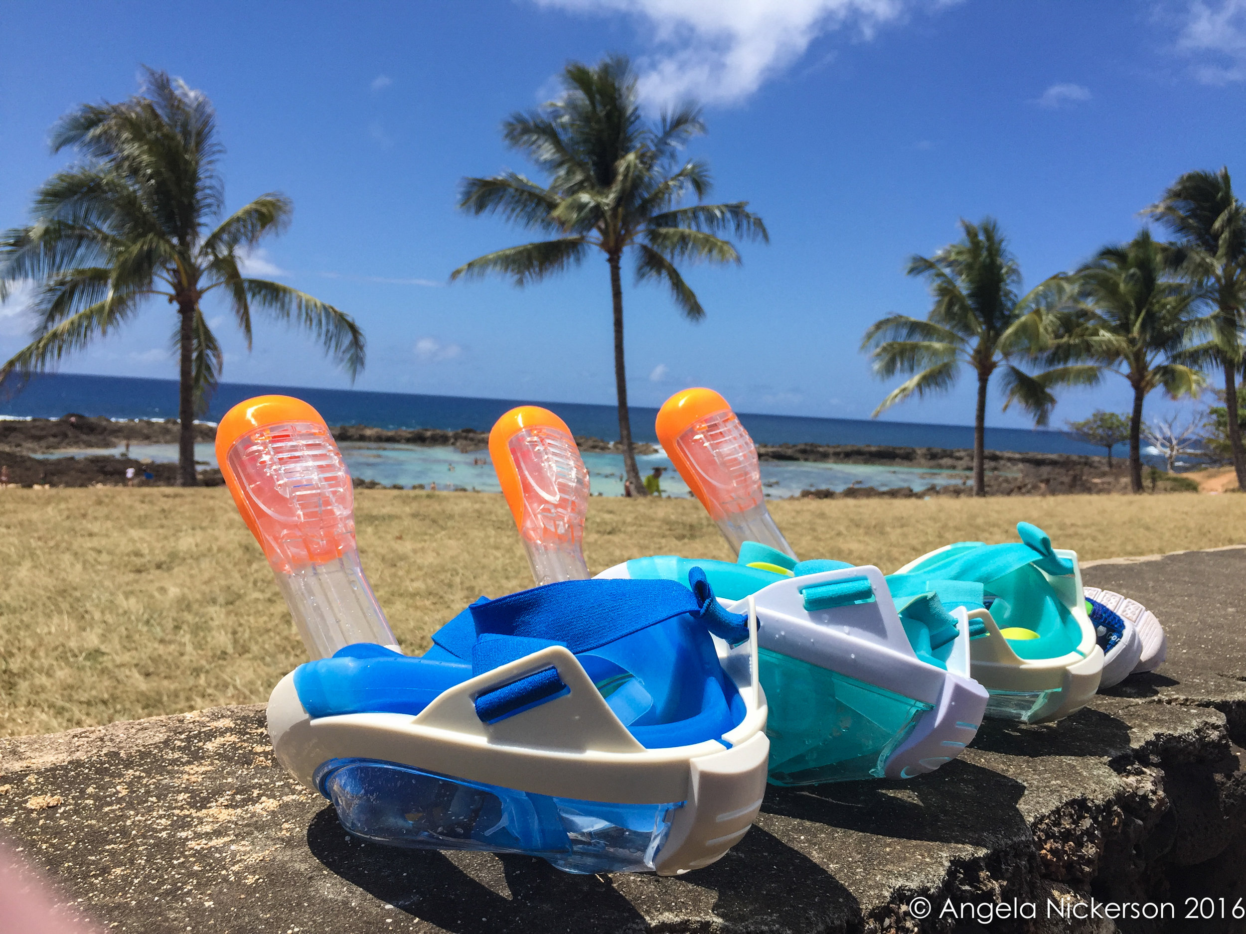 Our Tribord Easybreath Masks at Pupukea Beach Park
