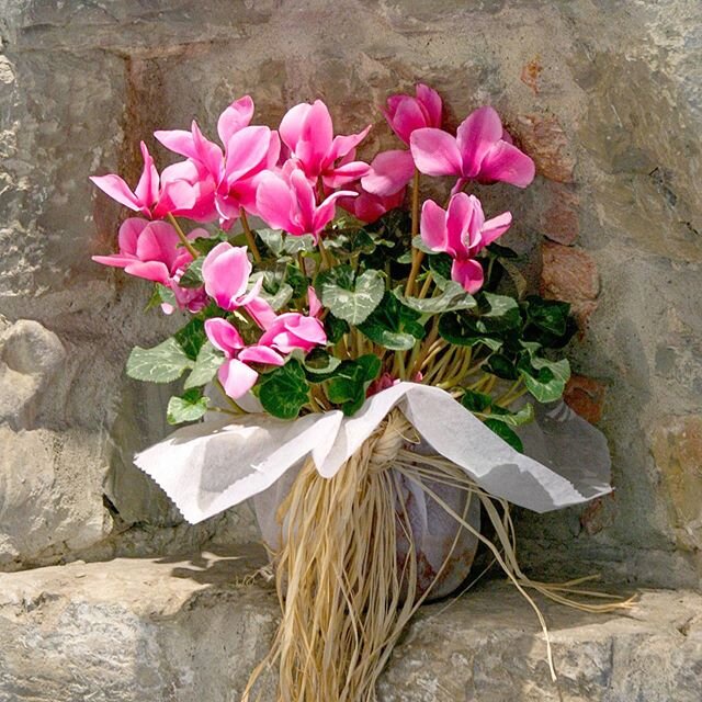 To my sweet friends all over Italy: we are with you! May the dramatic changes you are making have an impact for all of humanity. Love and prayers! Viva Italia!