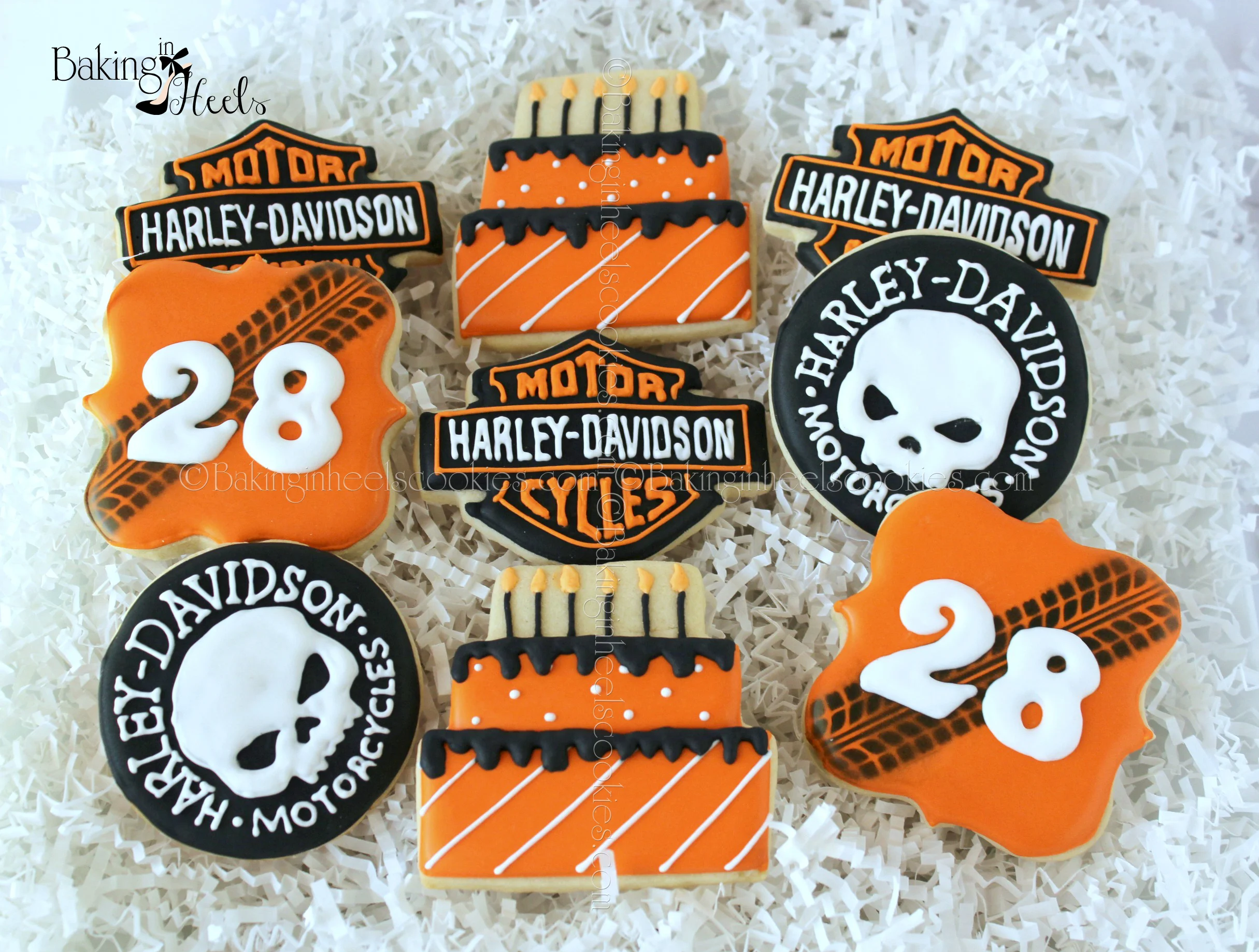 ©harleydavidsonset.jpg