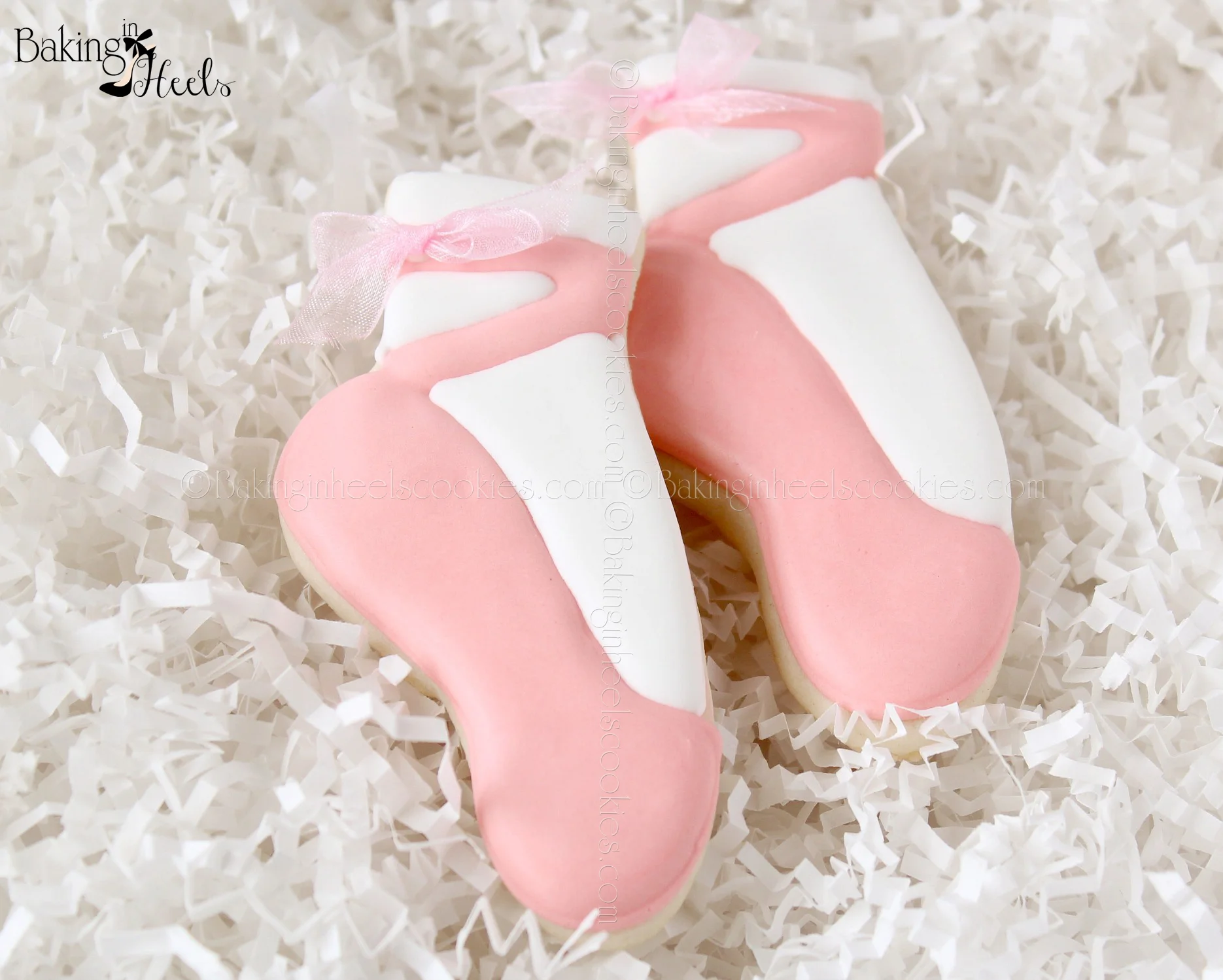 ©pinkballetshoe.jpg