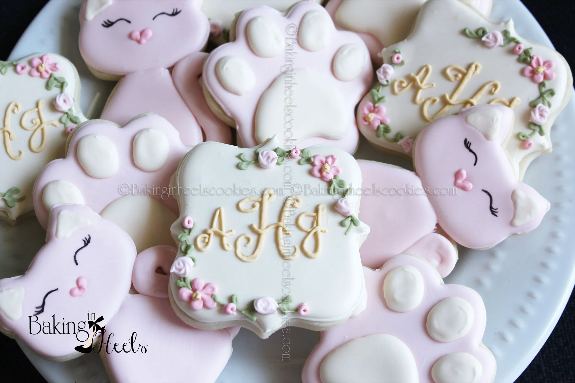 kittycookies.jpg