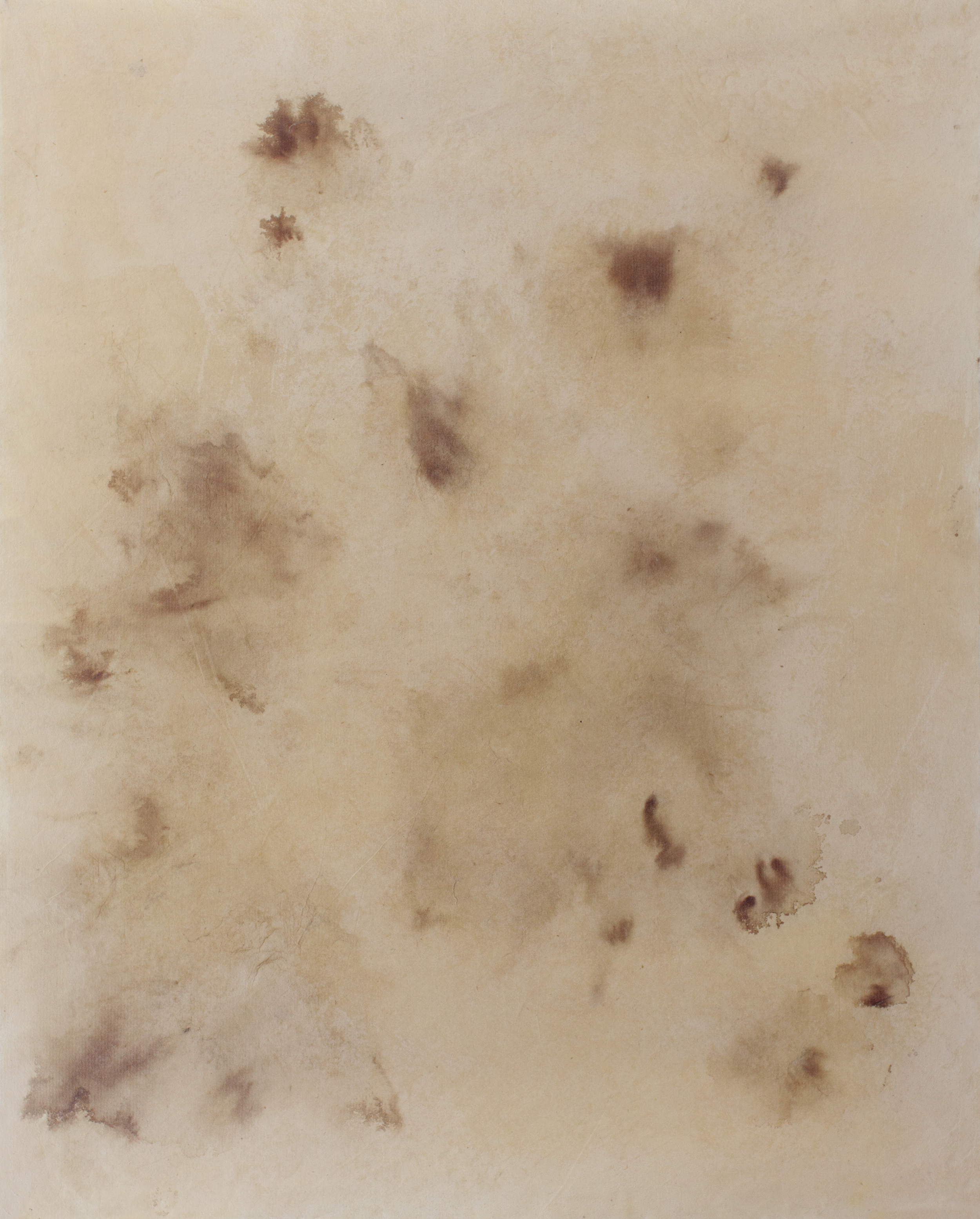Figure IX , Monotype, blood, and wax, 2015