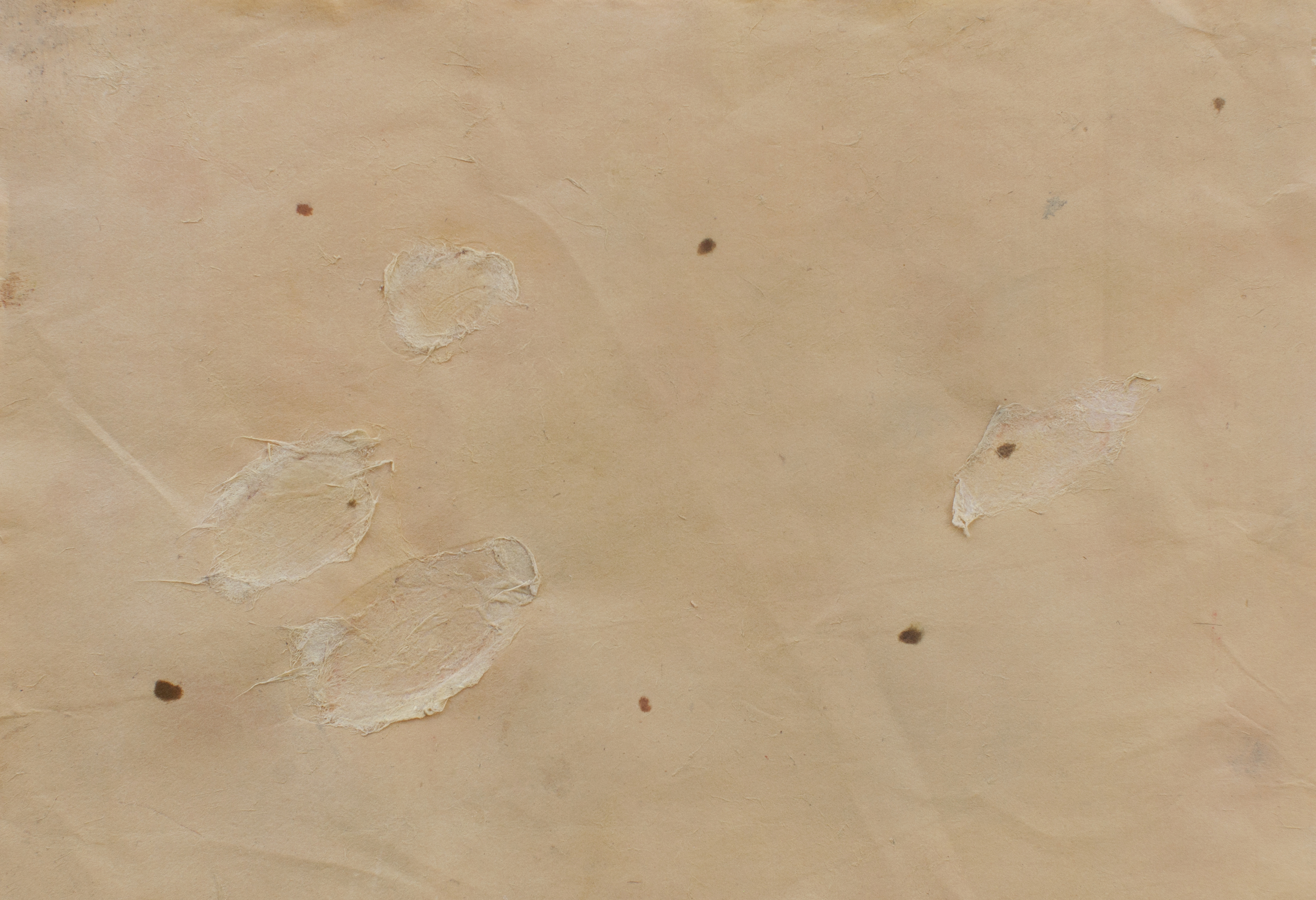 Figure VII , Monotype, wax, and chine collé, 2015