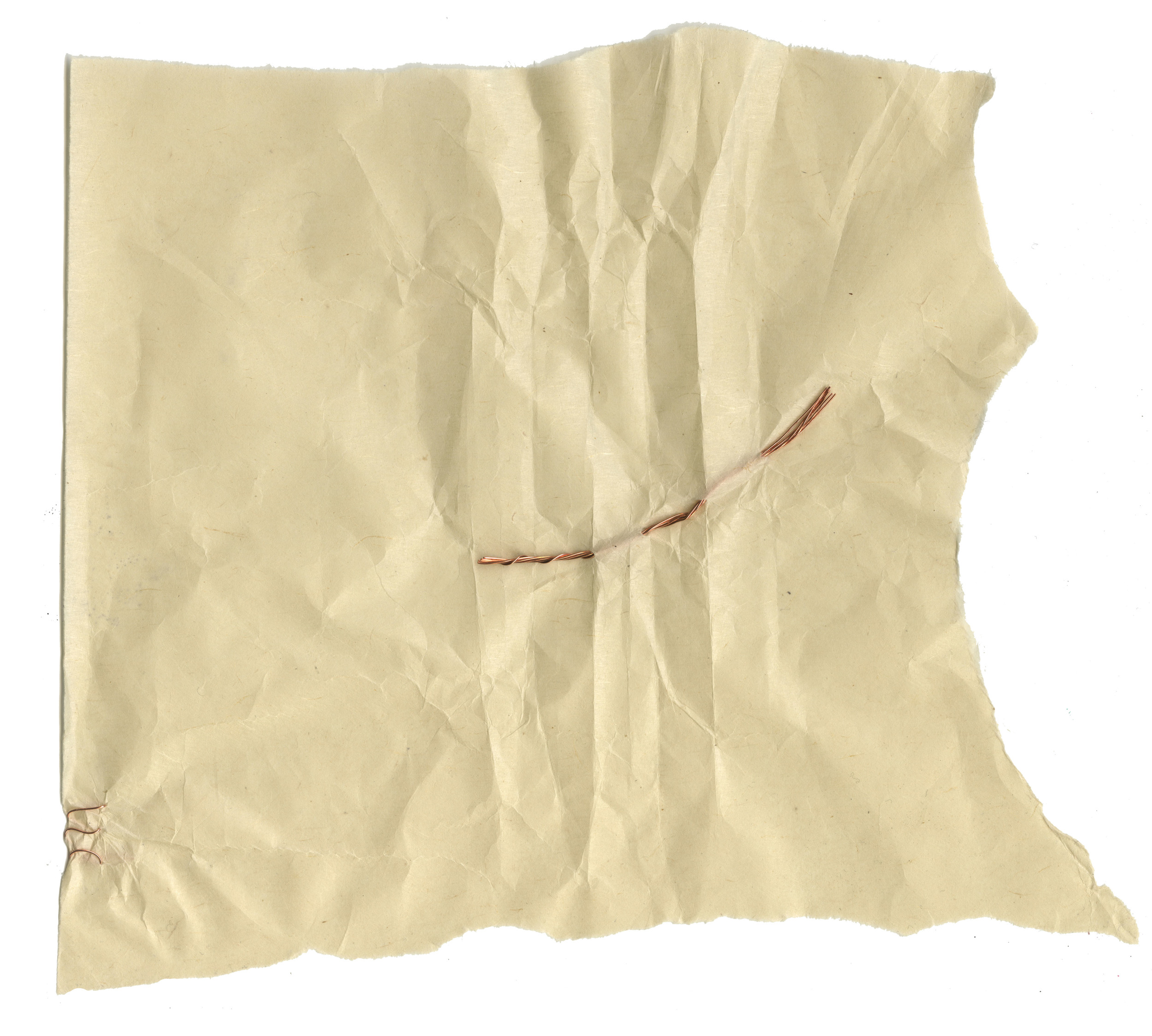 Senescence Revisited 17 , Kitikata paper and copper, 2016