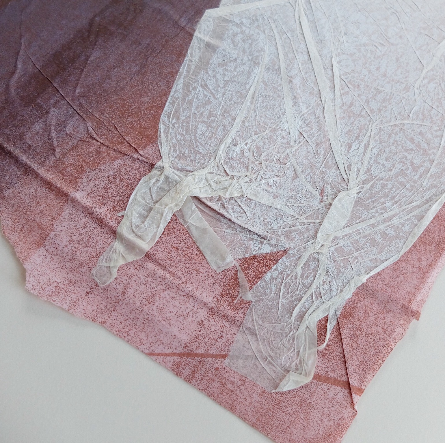 Detail shot, Desquamation , 2019