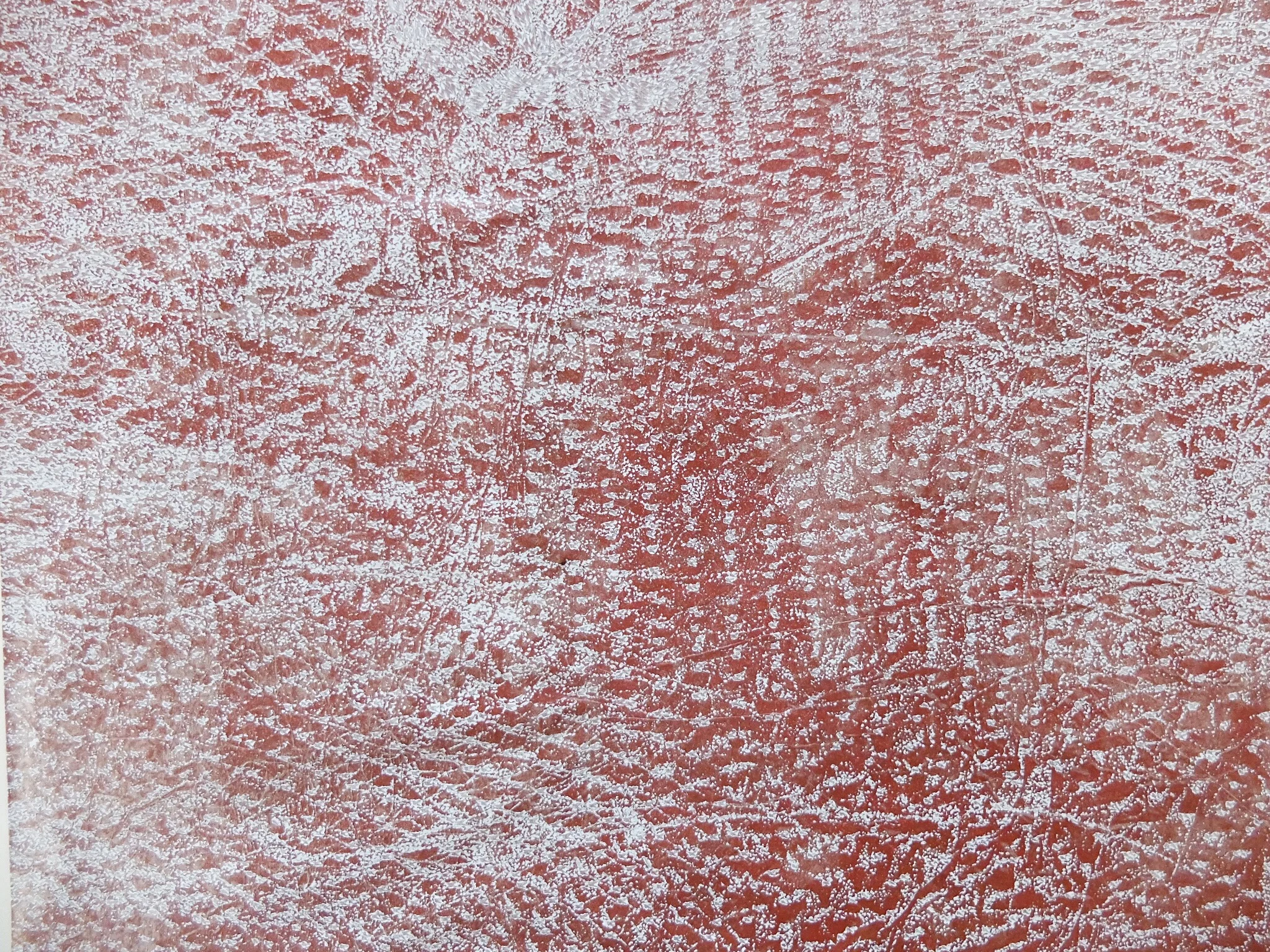 Detail shot, Desquamation II , 2019