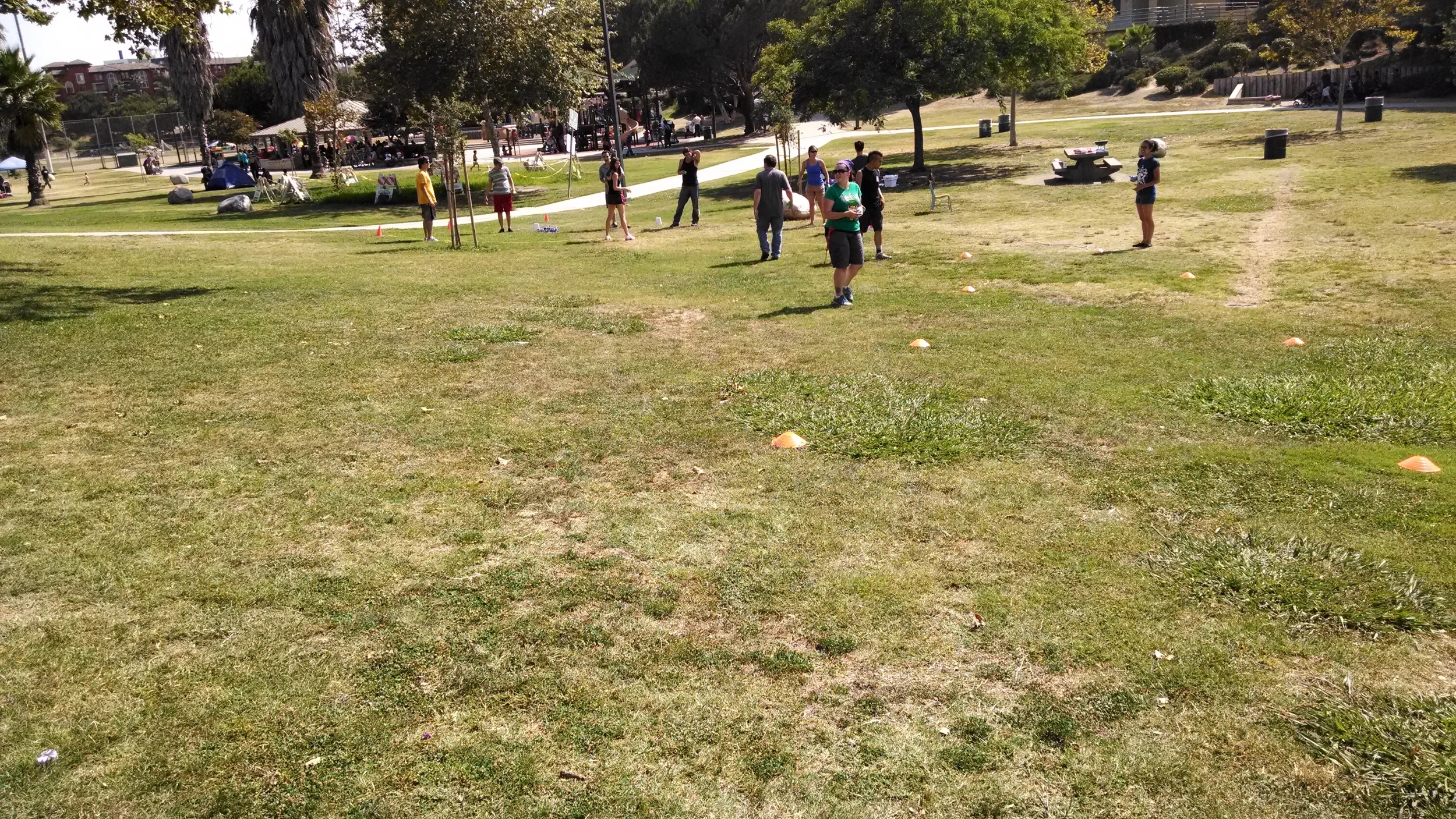 IMG_20140727_155933572.jpg