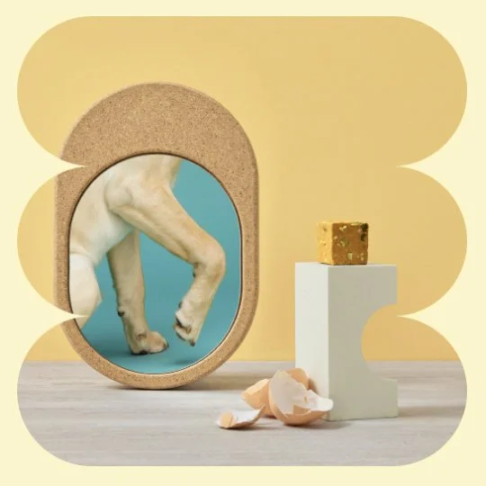 Screen Shot 2023-06-01 at 11.50.03 am.jpg