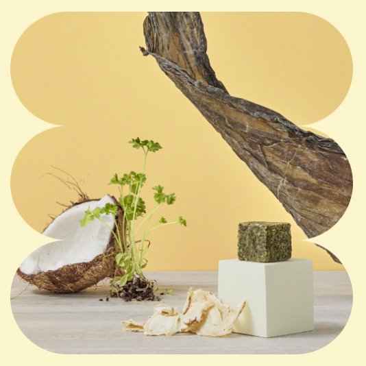 Screen Shot 2023-06-01 at 11.55.27 am.jpg