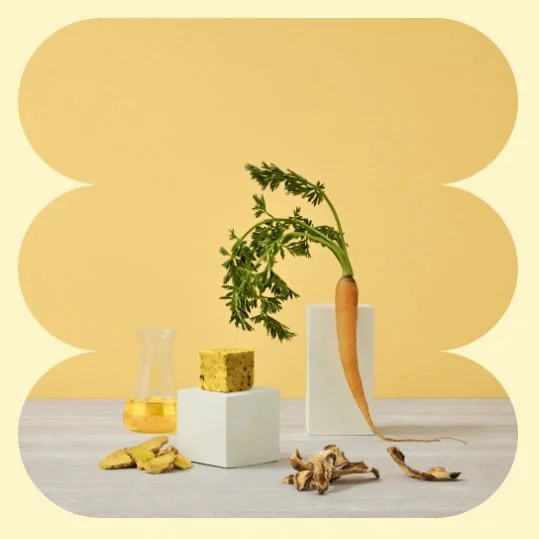 Screen Shot 2023-06-01 at 11.49.48 am.jpg