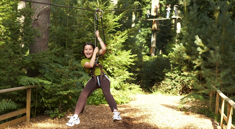 Go Ape Bedgebury Little Legs