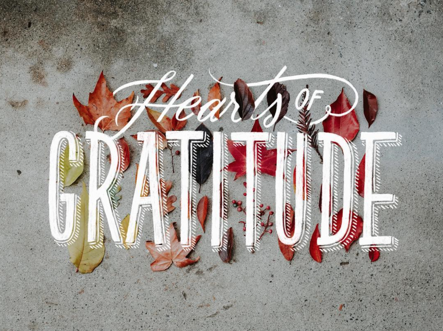 Custom lettering piece for Visit Sacramento instagram