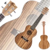 UKULELE 1.jpg