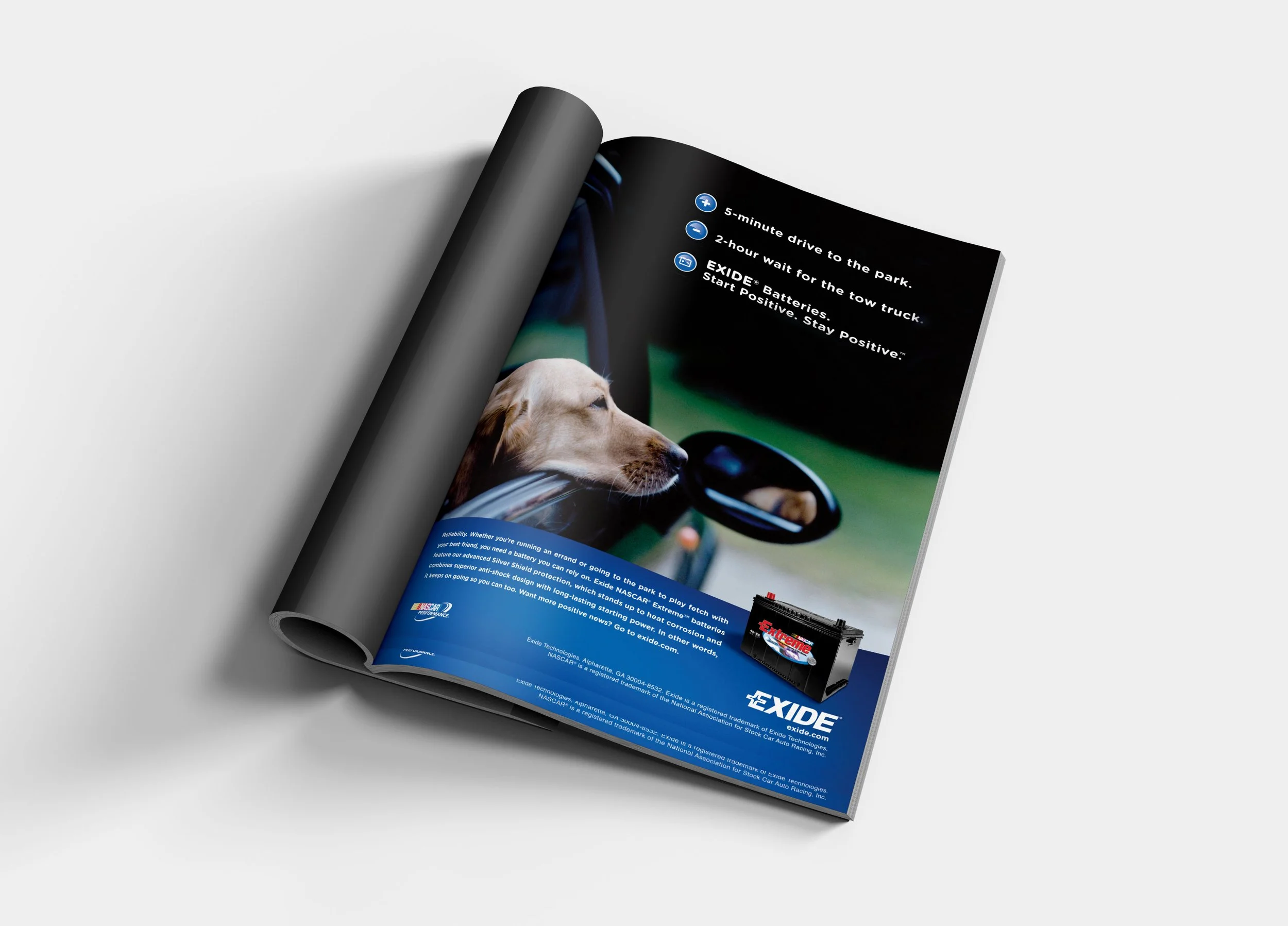 exide1-mag-DOG.jpg