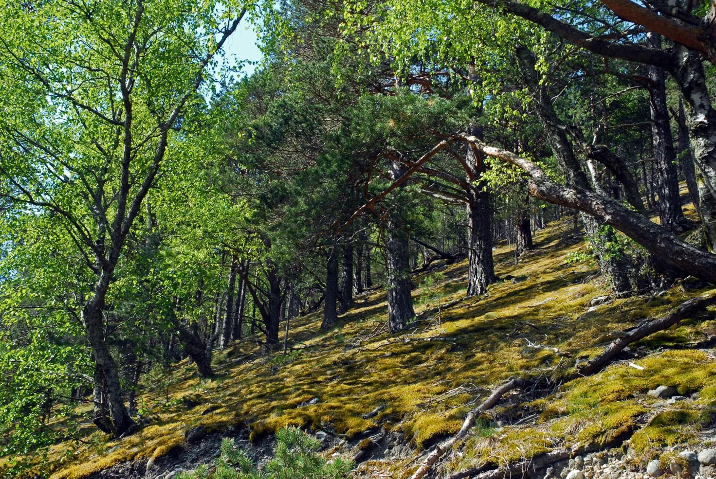 179.jpg