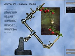 For some people 'studio photography' sounds rather advanced but I show how you can easily take great images on a garden table.