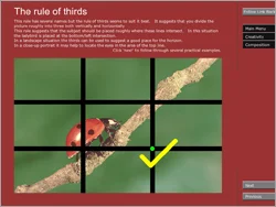 Whether we are beginners or advanced, we can all benefit from looking again at the basic rules of composition - I do it in a new and exciting way