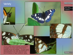 It is designed for anyone that needs some inspiration, encouragement, ideas, tips and advice.