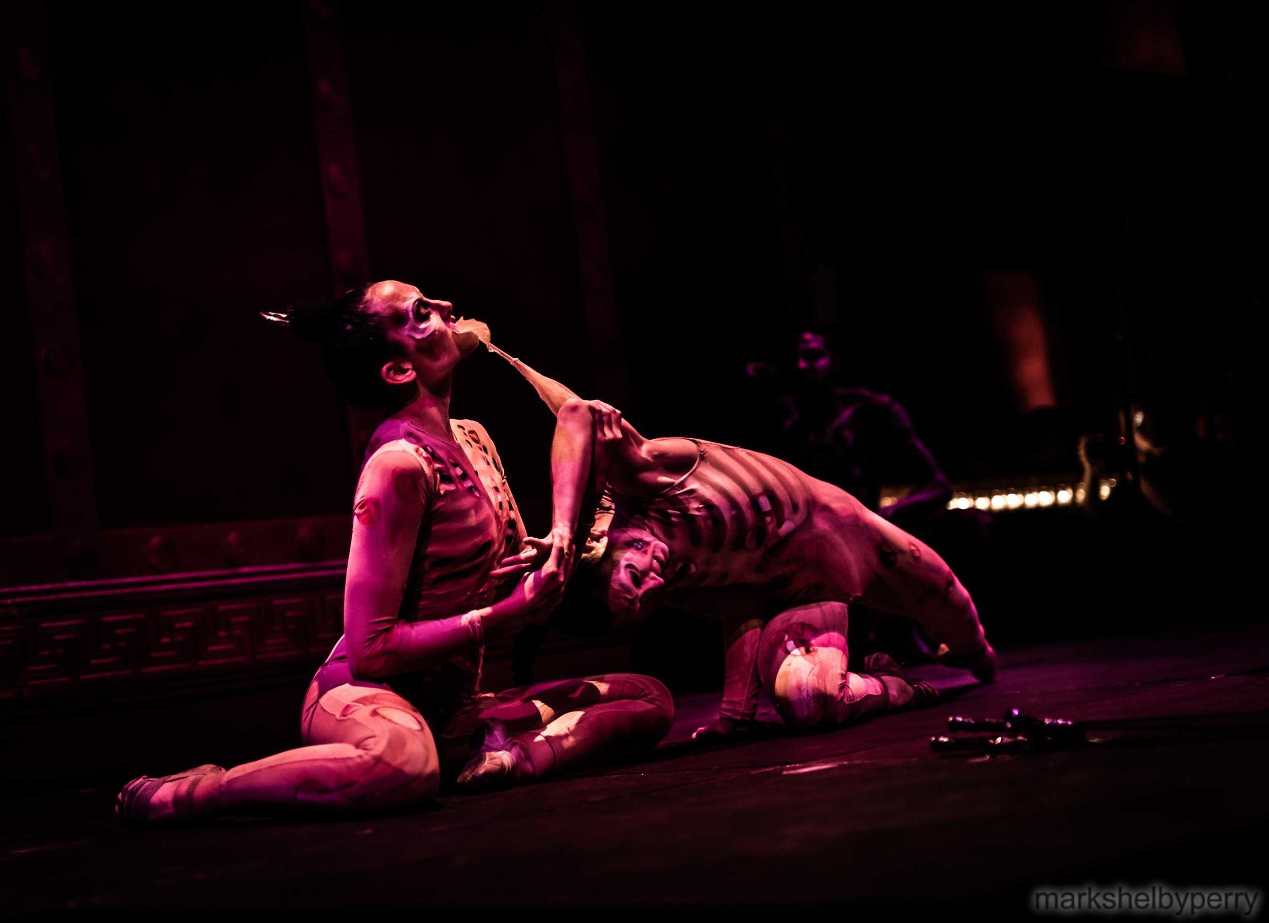 Dances of Vice Halloween 2022-2732.JPG