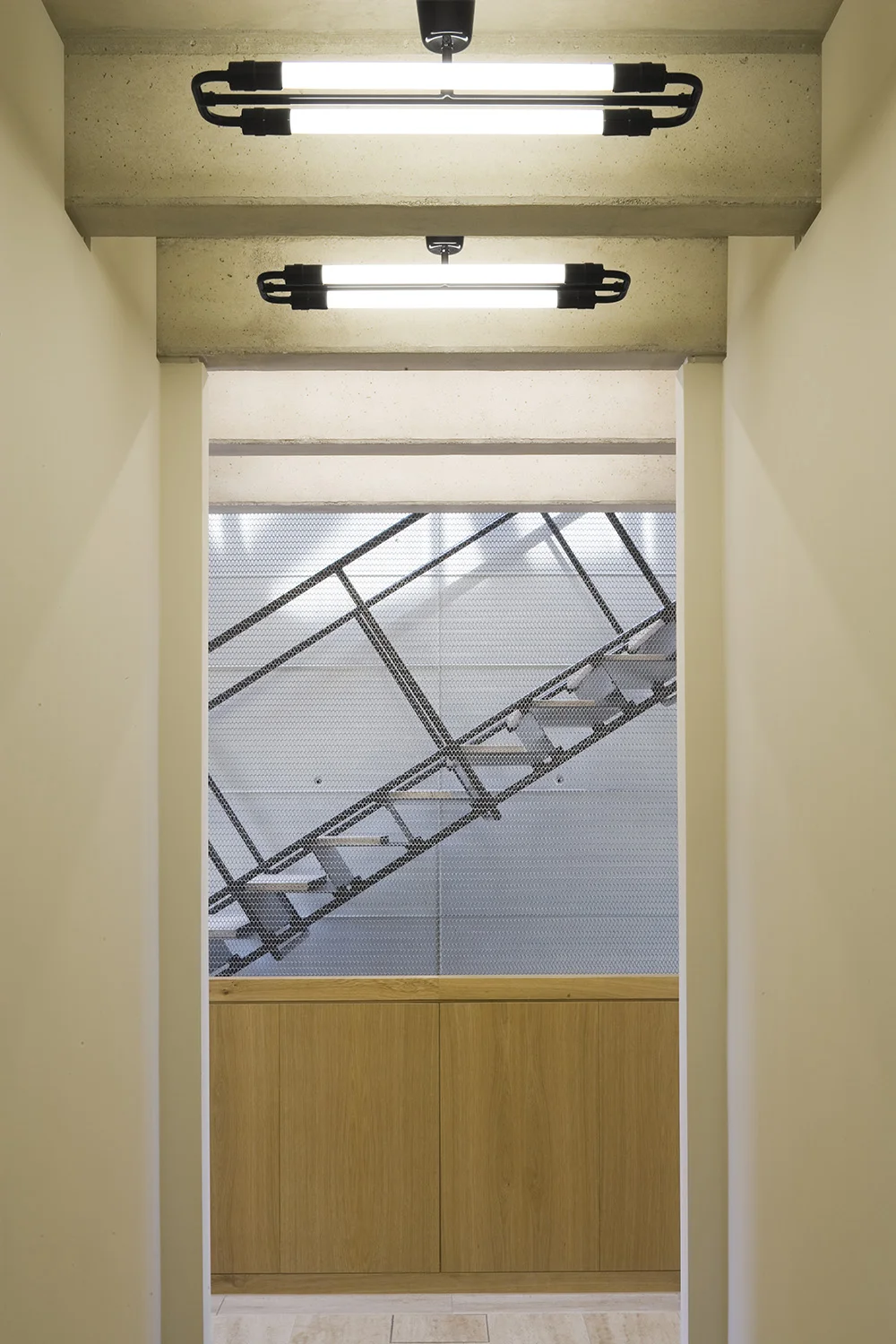 rosenberg-007.jpg