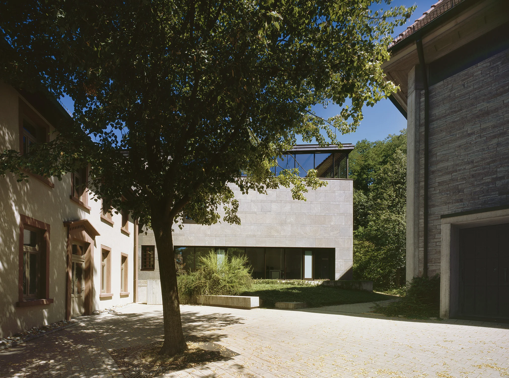 seckach-002.jpg