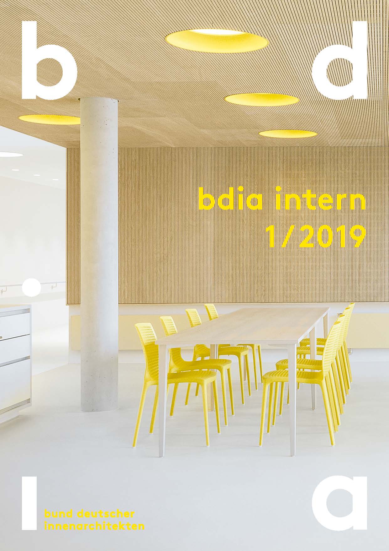 BDIA Intern - 1/2019