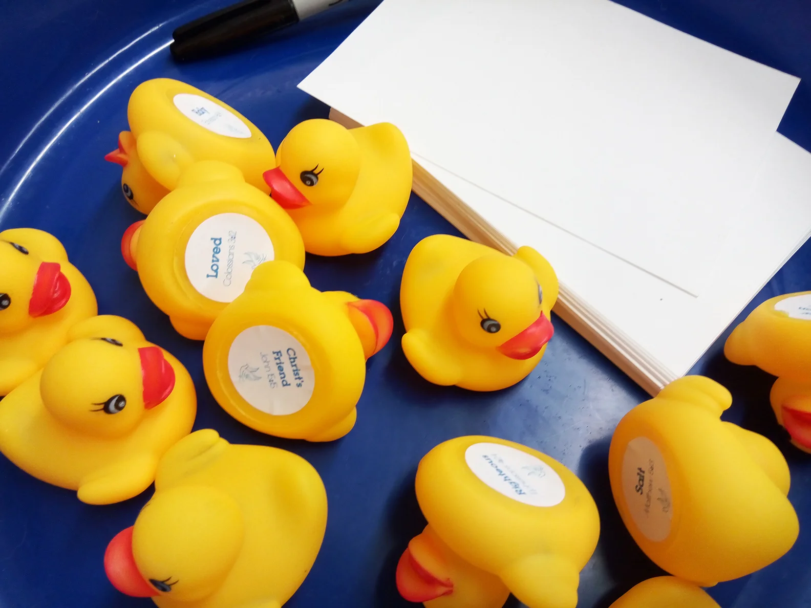 Duckies_sm.jpg