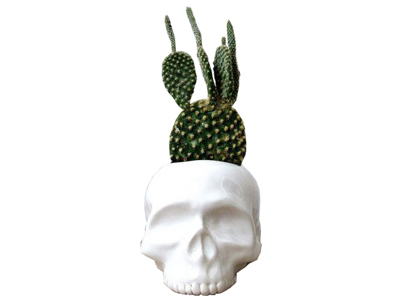 Etsy // Ceramic Skull Planter