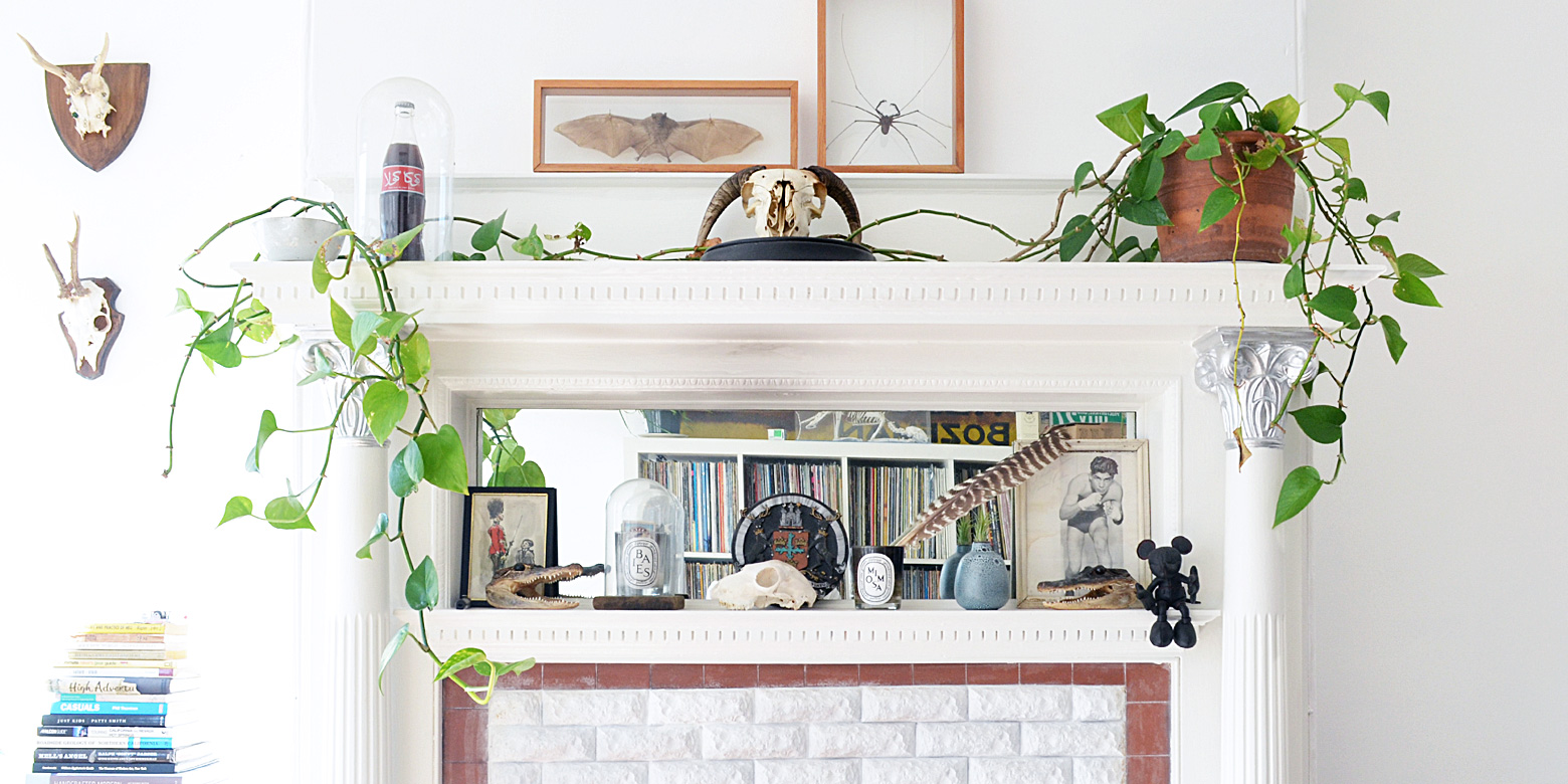 designer eclectic.