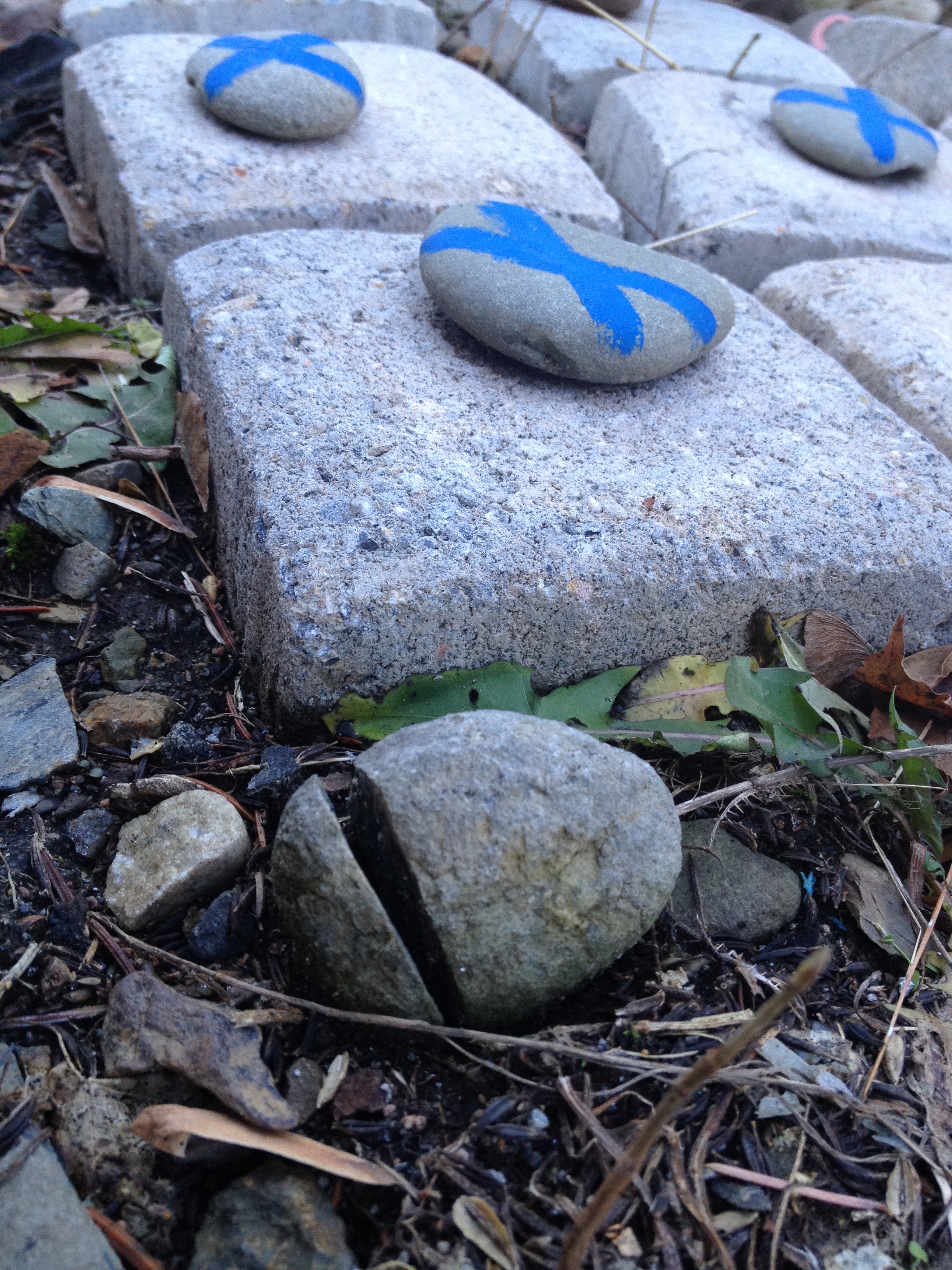 Jason C. Brown Strength Garden